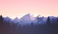 D&aacute;finy's Forest Adventure RPG